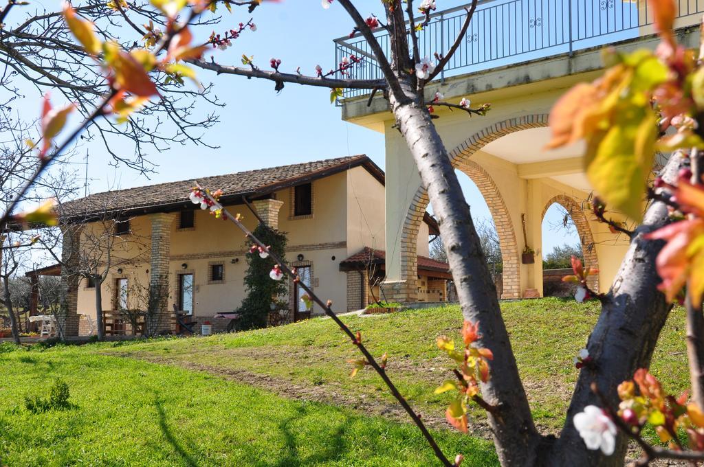 Torre Mannella Hotel Città Sant'Angelo Eksteriør billede